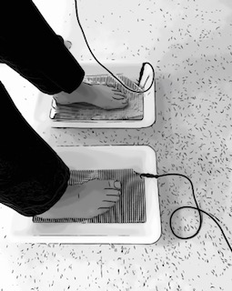 Picture of feet in trays of shallow water. These trays are attached to the machine by electrical cables. &nbsp;