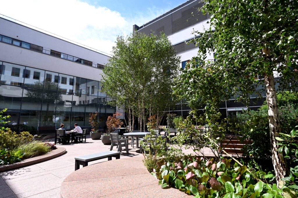 This image has an empty alt attribute; its file name is COURTYARD061-1024x683.jpg