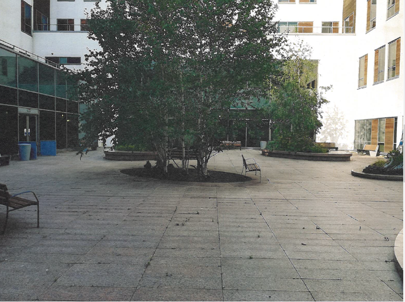 This image has an empty alt attribute; its file name is NCCC-courtyard-1.png