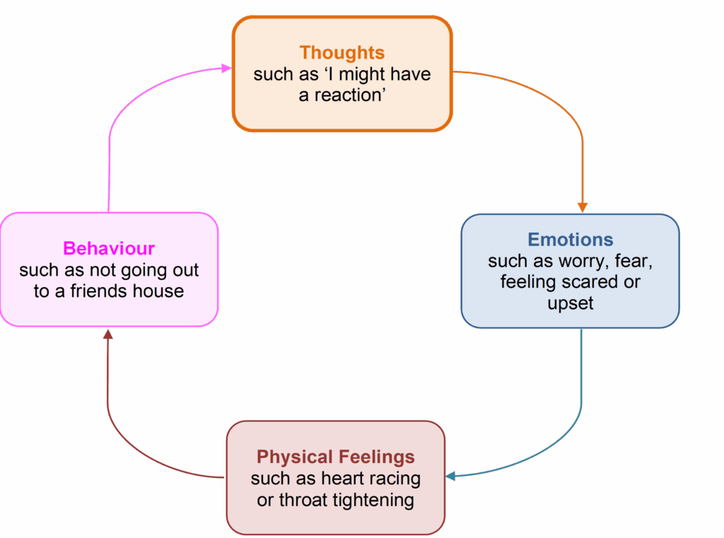 Thoughts: such as "I might have a reaction."

Emotions: such as worry, fear, feeling scared or upset.

Physical feelings: such as heart racing or throat tightening

Behaviour: Such as not going out to a friends house