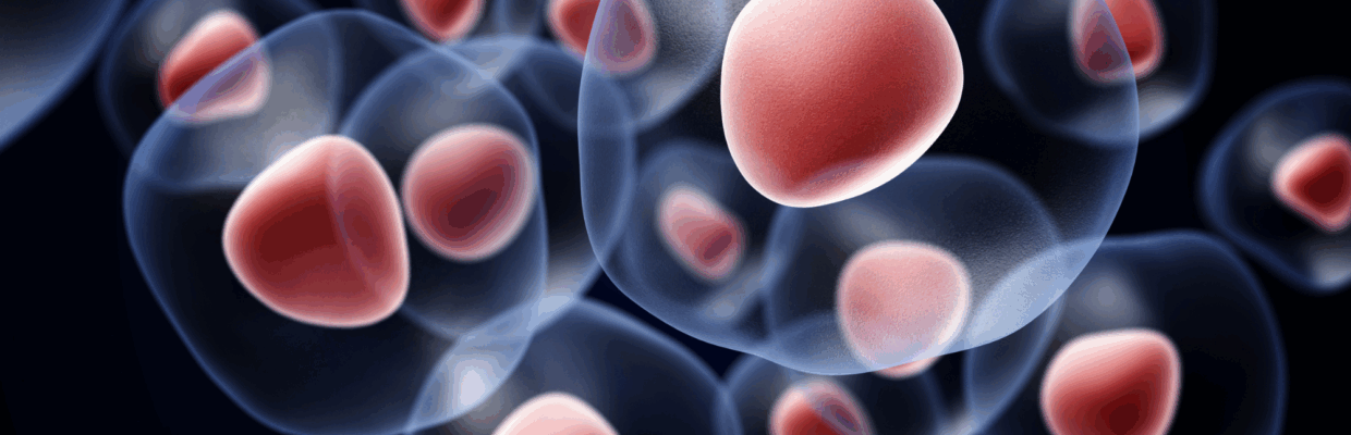 A scientific graphic showing cells